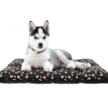 Legowisko PODUCHA dla psa i kota