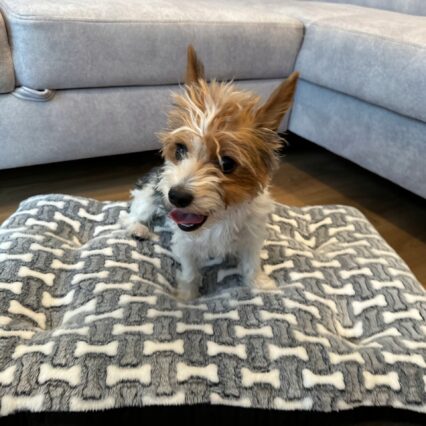 LEGOWISKO DLA PSA 100X70 DUŻE POSŁANIE PODUCHA MIEKKIE